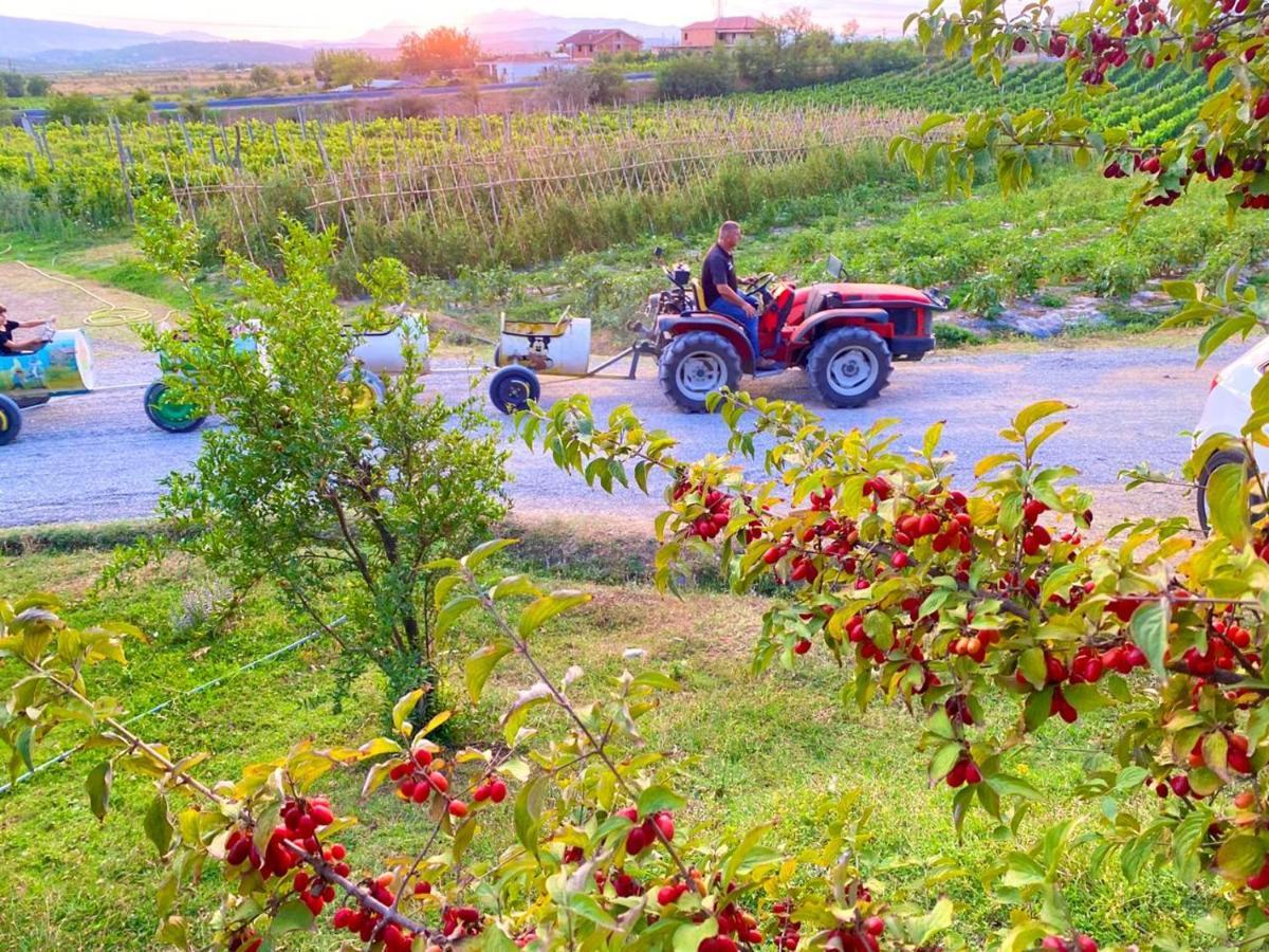 Hotel Mrizi I Zanave Agroturizem Lezhë Zewnętrze zdjęcie